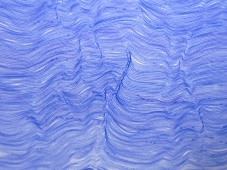 http://cloepaty.com/files/gimgs/th-19_intuitions3.jpg