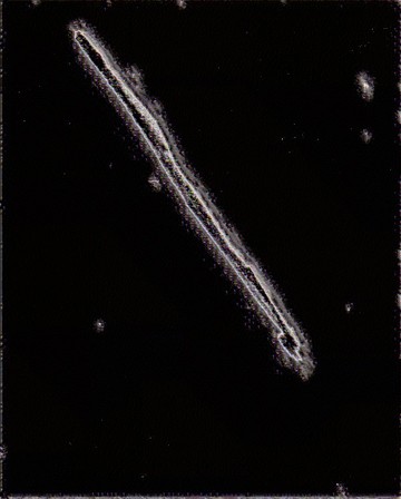 http://cloepaty.com/files/gimgs/th-28_baguettemagiqueweb.jpg